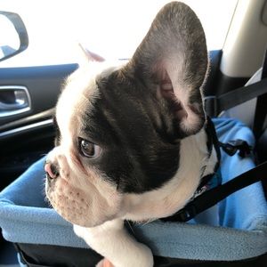 Meet your Posher, Amanda